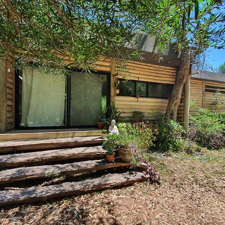 Chalet Los Troncos Sauce de Portezuelo Eksteriør bilde
