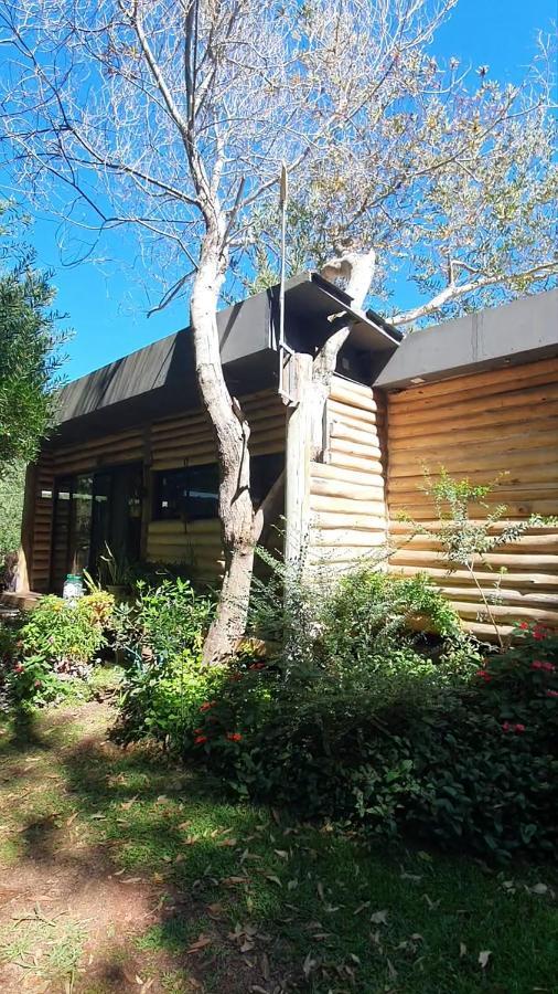 Chalet Los Troncos Sauce de Portezuelo Eksteriør bilde