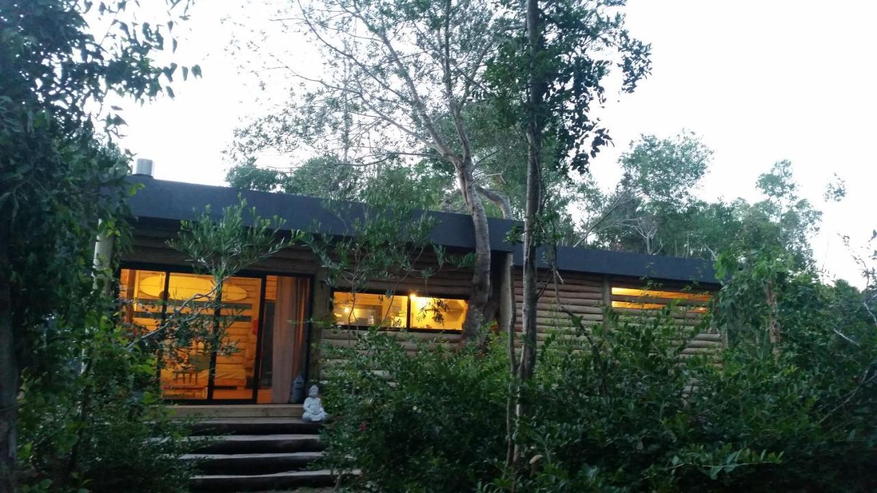 Chalet Los Troncos Sauce de Portezuelo Eksteriør bilde